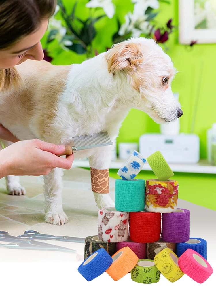 Segurança em viagens de verão: por que um kit de primeiros socorros para animais de estimação é essencial para viagens rodoviárias em 2026
